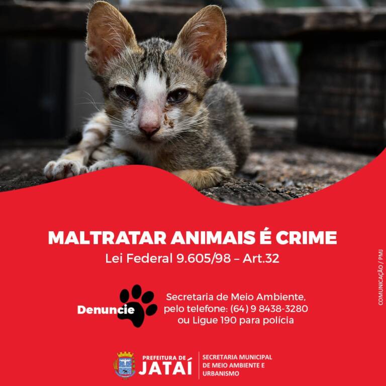 Campanha Contra Maus Tratos Aos Animais Portal PaNoRaMa