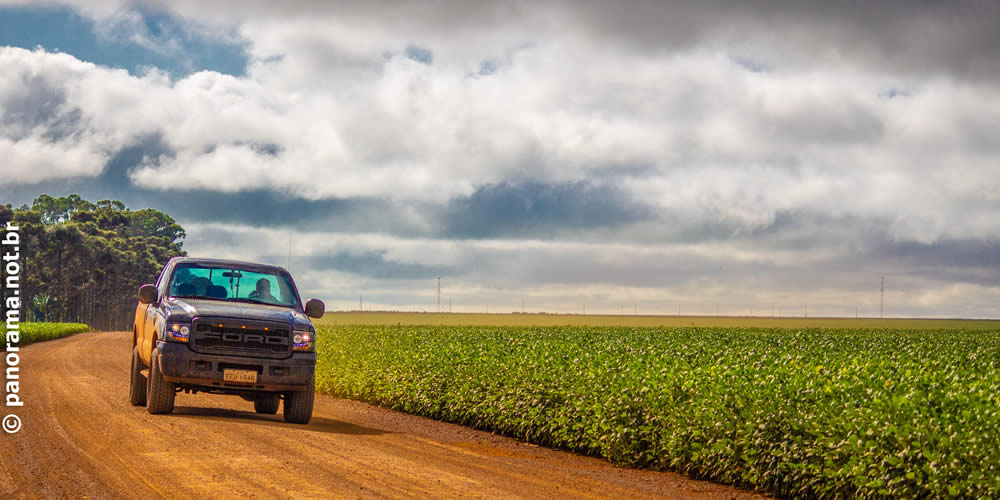 Cotação Agronegocio Cidade Jataí Goiás Dia de Campo