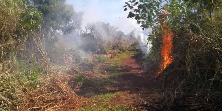 Ações preventivas contra queimadas no Parque Natural Municipal Mata do Açude