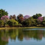 Clima Tempo Cidade Previsão Jataí Goiás Lago Diacuy