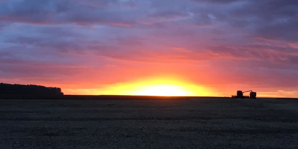 Cotação Agronegocio Cidade Jataí Goiás Por do Sol
