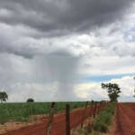 Cotação Agronegocio Jataí Goiás Fazenda Estrada Chuva