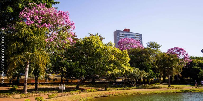 Previsão tempo cidade jataí goiás clima lado diacui arvores floridas rosas ceu azul