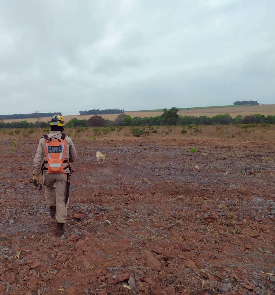 bombeiros goias jatai (3)