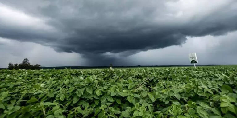 Agronegocio Pesquisa mostra que chuvas podem diminuir em 30% até fim do século