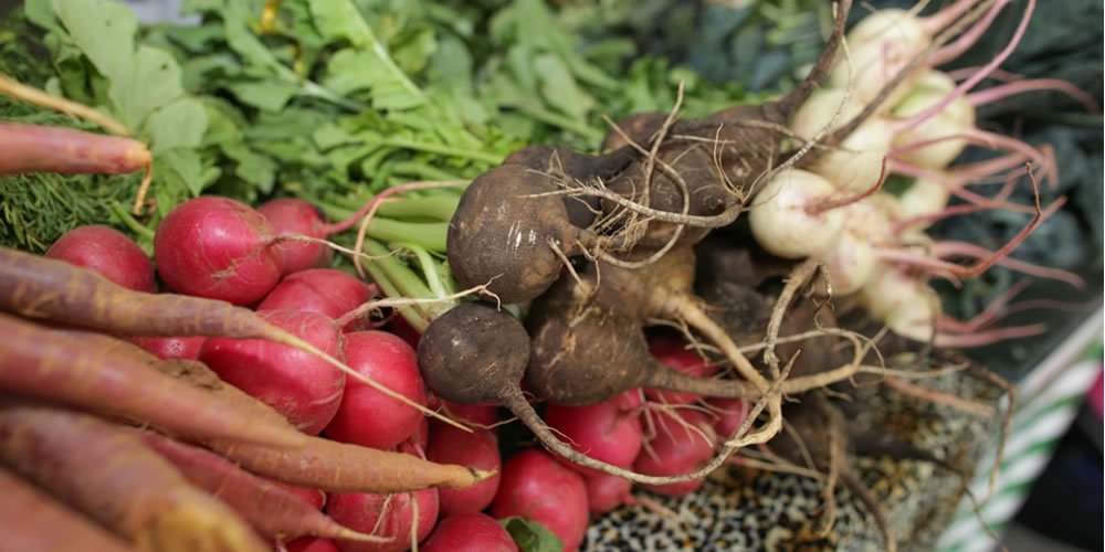Governo recebe propostas para compra de alimentos