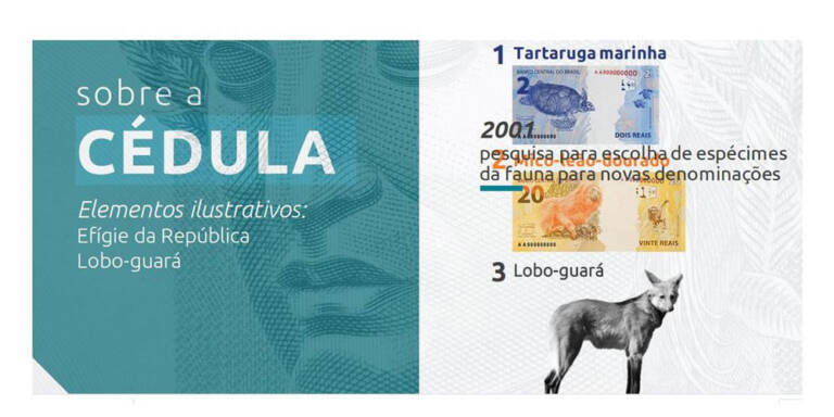 Nova cédula de R$ 200 entra em circulação na quarta-feira