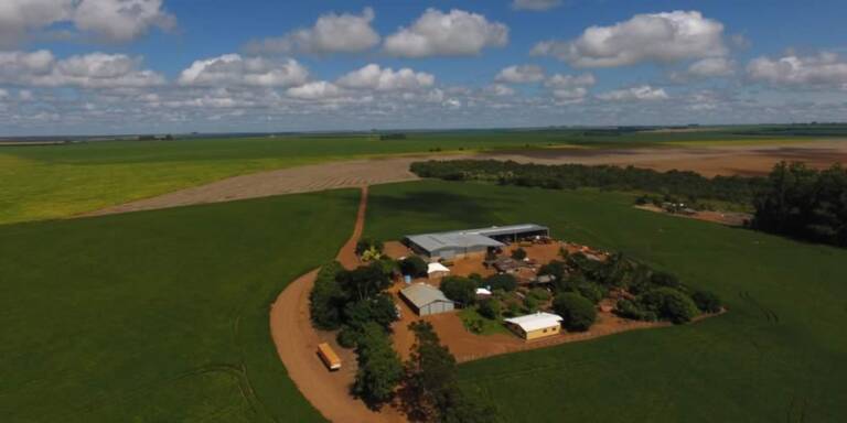 Cotação Agronegocio Cidade Jataí Goias fazenda Verde