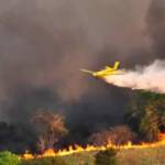 Senado aprova uso de aviação agrícola para combate a incêndios