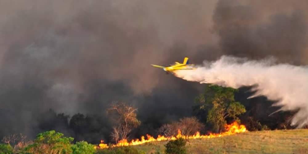 Senado aprova uso de aviação agrícola para combate a incêndios