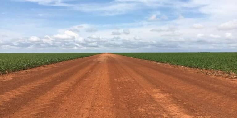 Cotação agronegocio cidade jataí goiás plantação estrada