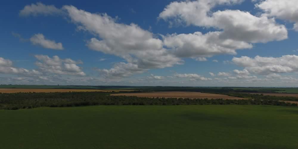 Cotação agronegocio cidade jataí goiás