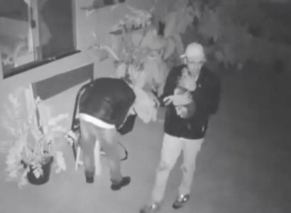 Vídeo flagra cachorro “de guarda” pedindo carinho a assaltantes em Jataí; veja