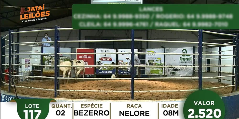 Foto: Reprodução Internet