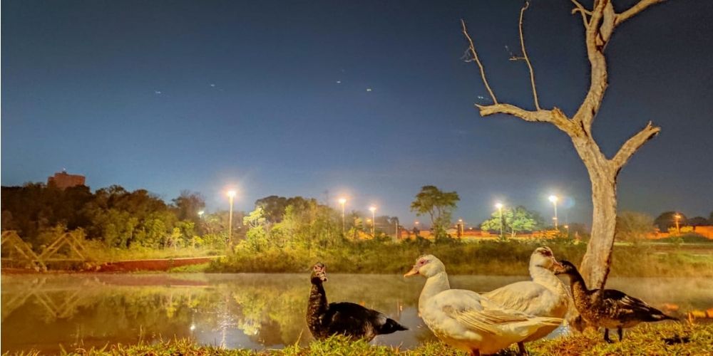 Clima Tempo Previsão Jataí Goiás Patos