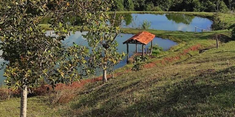 Cotação Agronegocio Cidade Jataí Goiás