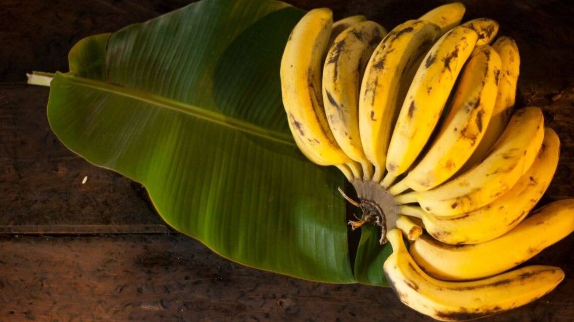 5 séries para apaixonados por gastronomia 5 séries para apaixonados por gastronomia