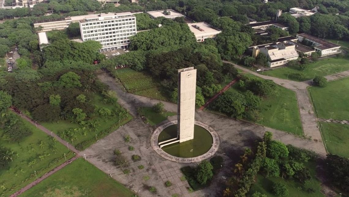 USP oferece cursos gratuitos e online na área de humanidades