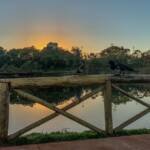 tempo previsão cidade jataí goiás por do sol água passaros