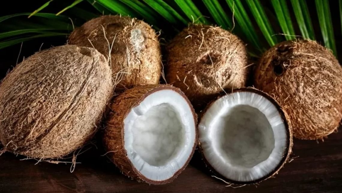 Da água à polpa coco sacia e melhora ação do intestino; veja 6 benefícios