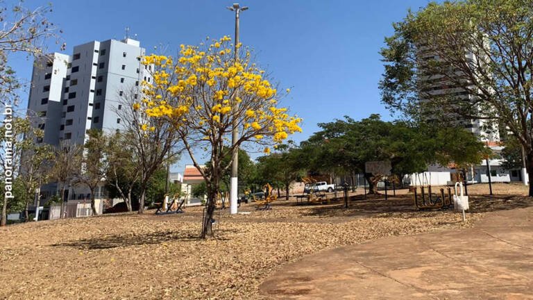 praca jatai biblia ipe previsao clima tempo foto vania santana