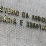 Casos de mal da vaca louca não são risco à produção bovina, diz OIE