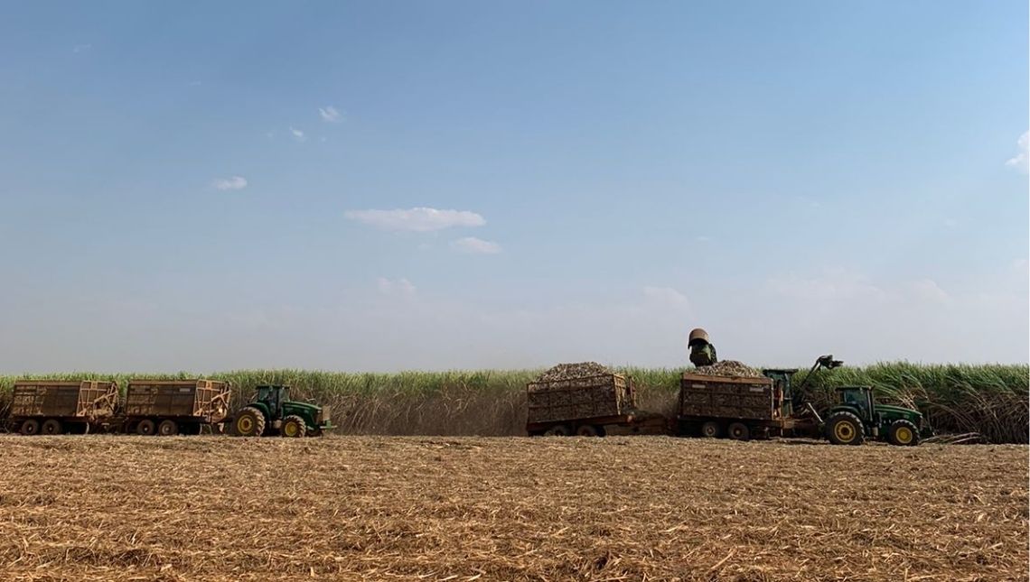 Cotação Agronegocio Jataí Goiás plantação colheita