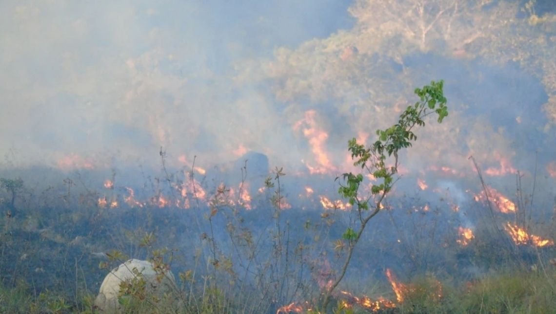 Queimadas no cerrado são as piores desde 2012