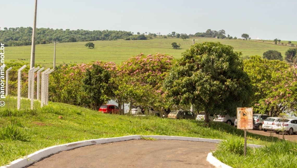 Clima tempo previsão cidade jataí goiás planta arvore lago agua bonsucesso