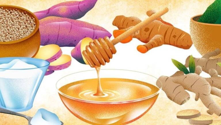 Conheça sete superalimentos para fortalecer o sistema imunológico