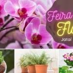 Feira de Flores - FAVOS