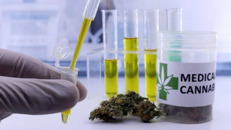 Anvisa aprova mais um produto medicinal à base de Cannabis
