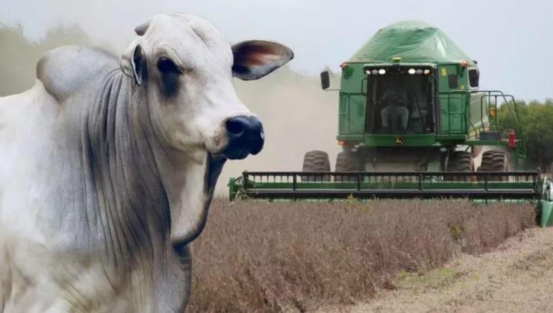 “Pecuária pode ser tão ou mais lucrativa que a Agricultura”