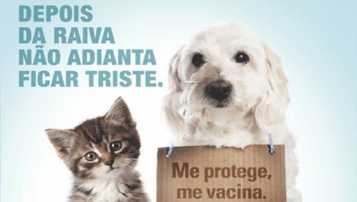 Raiva entenda a doença e previna-se do contágio