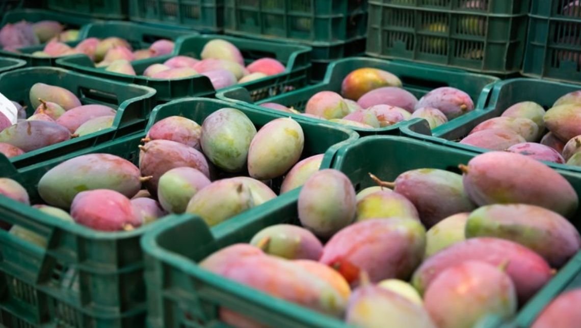 Brasil bate recorde histórico com mais de US$ 1,21 bilhão em exportação de frutas em 2021