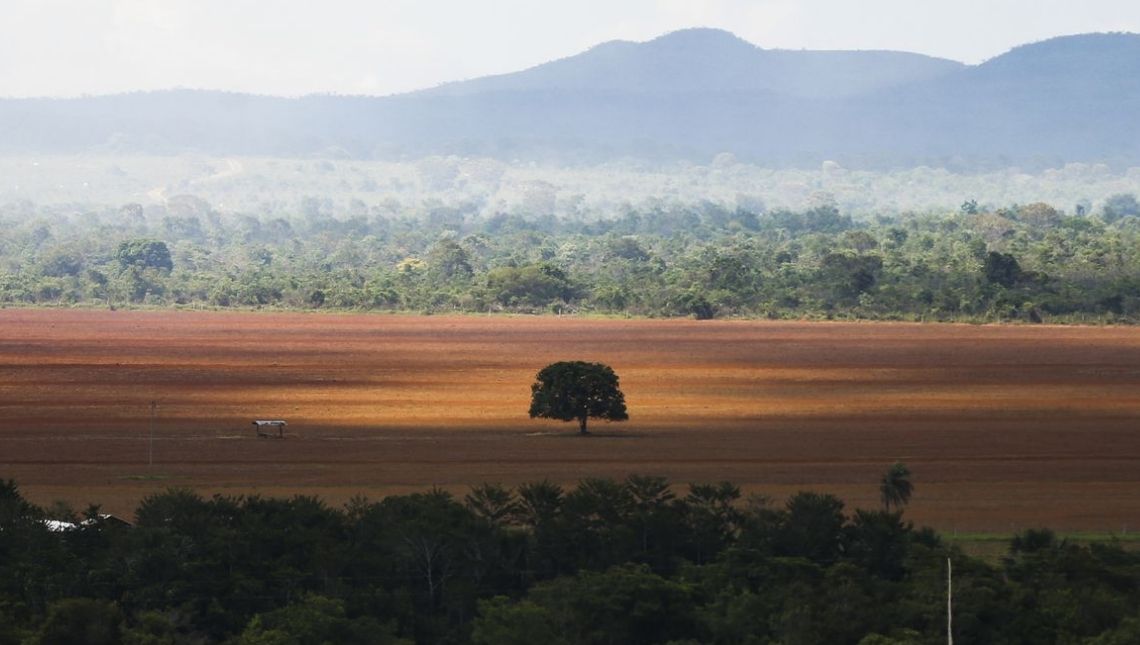 Especialistas discutem monitoramento e desmatamento do Cerrado