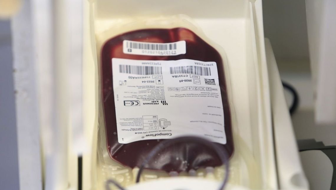 Saúde e Anvisa atualizam regras para doação de sangue durante pandemia
