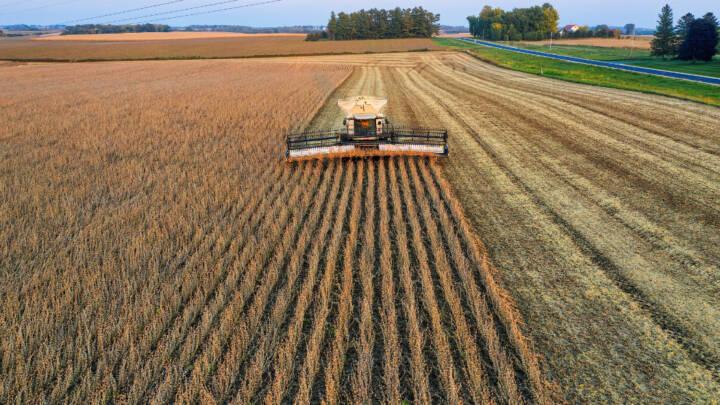 Soja e trigo garantem aumento na produção nacional de grãos