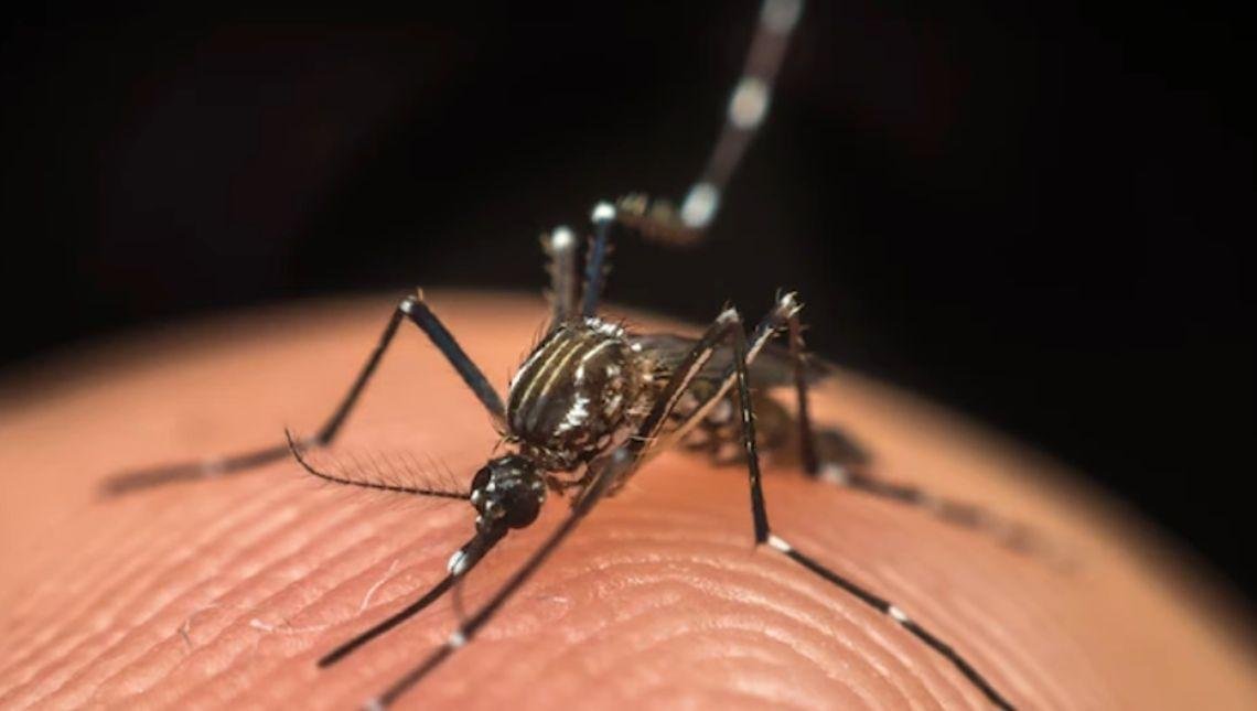 Goiás é o 2º estado do País em mortes por dengue em 2022
