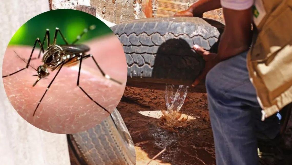 Jataí em Alto Risco: casos de Dengue disparam em todo o Estado