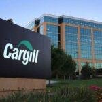 Novos Talentos Cargill 2022