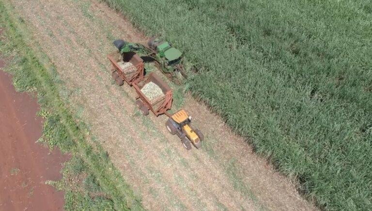 Preço do etanol sobe 4,5% em 1 semana; saiba o que aconteceu e o que esperar