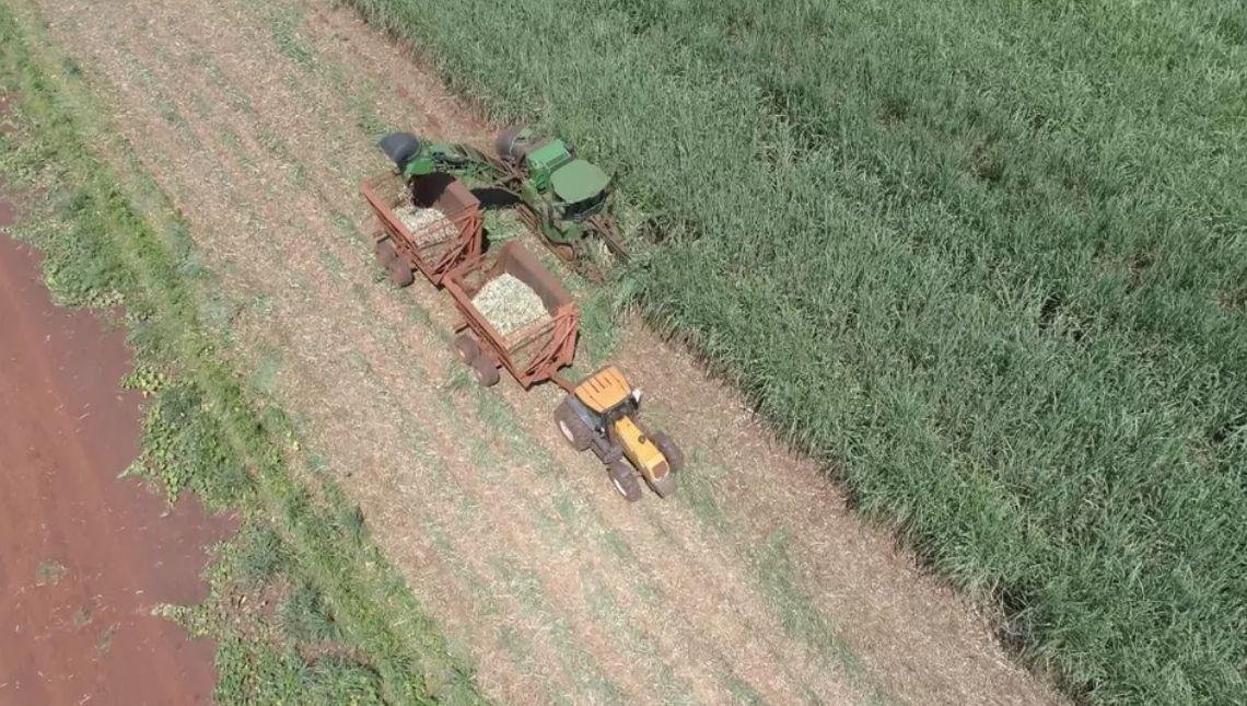 Preço do etanol sobe 4,5% em 1 semana; saiba o que aconteceu e o que esperar