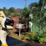 Secretaria Municipal de Saúde realizará intensificação no combate ao mosquito aedes em Jataí
