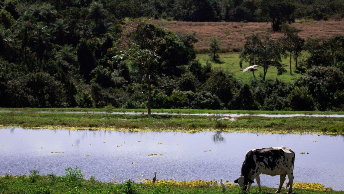 Valor da Produção Agropecuária deve chegar a R$ 1,227 trilhão este ano