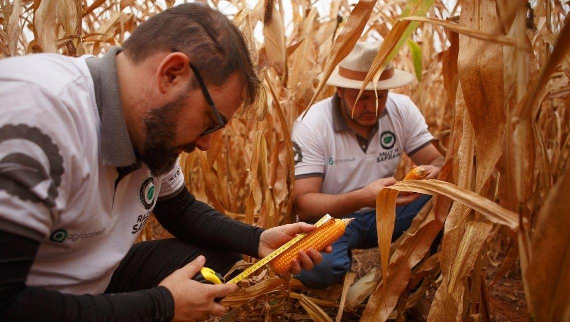 Técnicos do Rally da Safra avaliam lavouras de milho segunda safra no Sudeste do Mato Grosso e Sudoeste de Goiás