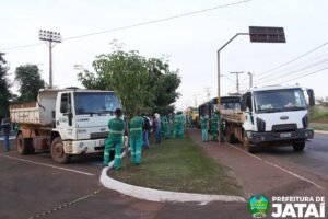 força-tarefa de combate ao mosquito da dengue (3)