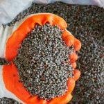 Fertilizantes Ureia sobe 15% em uma semana e compromete relações de troca com o milho safrinha 23