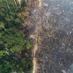 Governo proíbe uso do fogo por 120 dias
