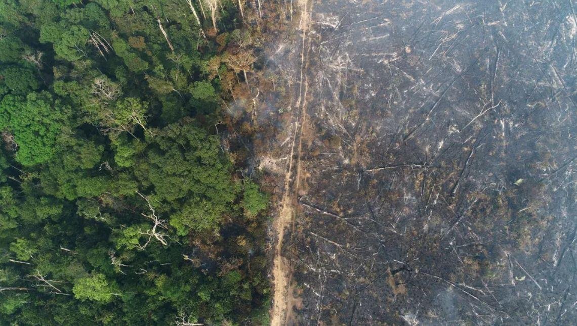 Governo proíbe uso do fogo por 120 dias